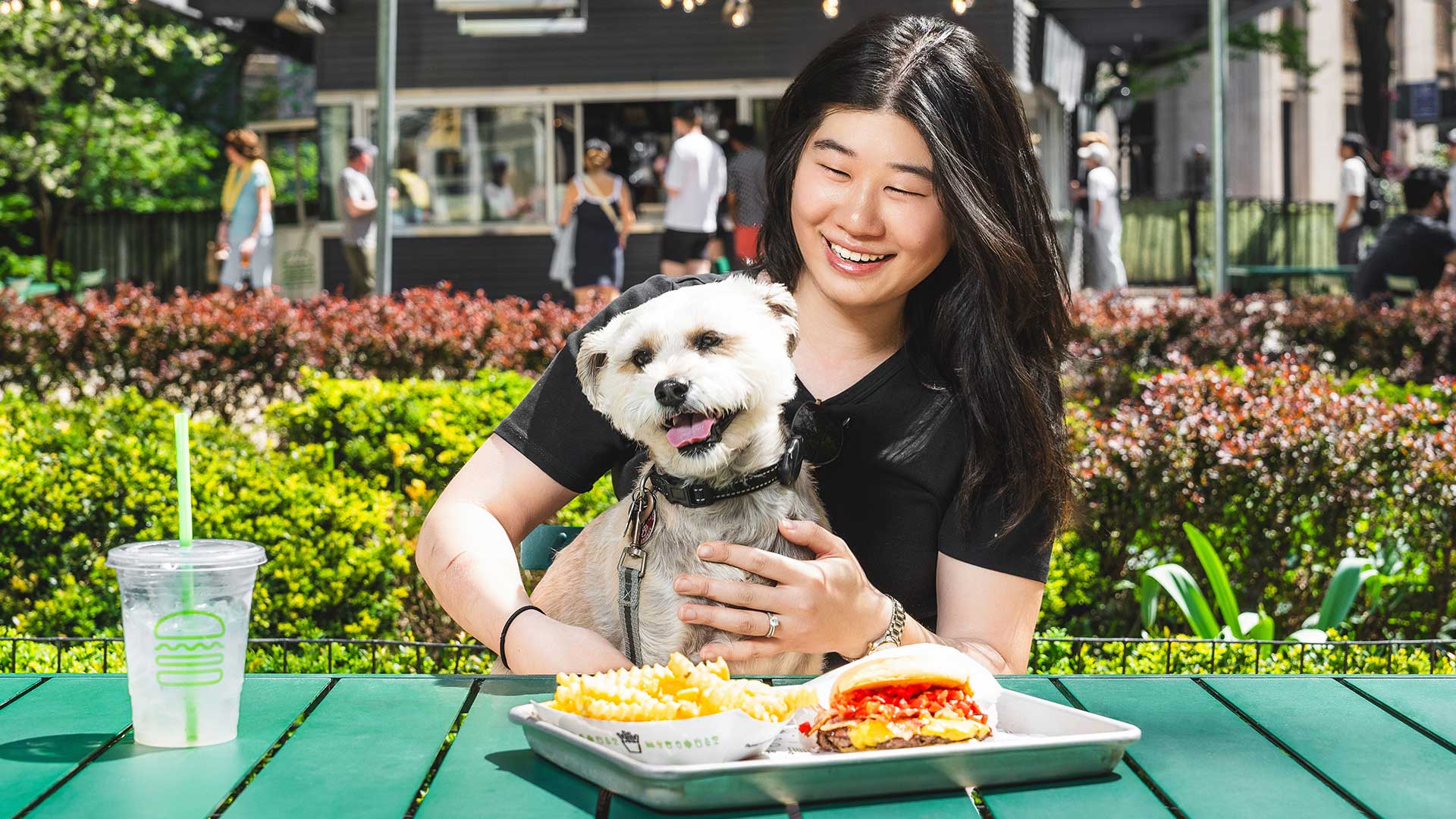 Shake Shack Dog Show